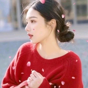 晓静姐头像
