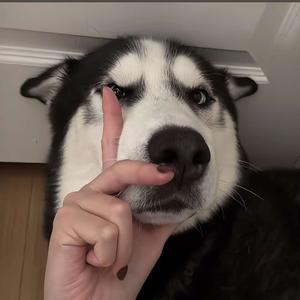 算了头像