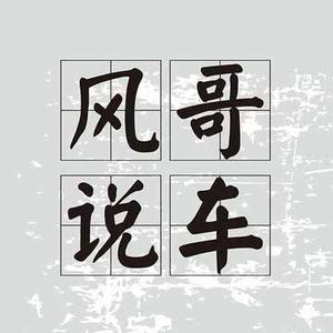疯评车事头像