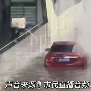 11秒头像