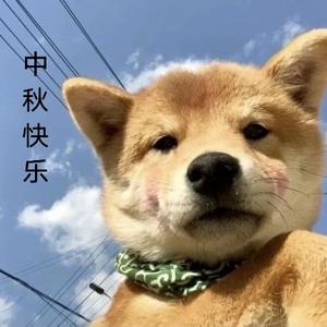 遗梦流萤头像