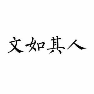 追风逐电的文如头像