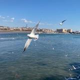 海风V99头像