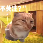 快乐从meme猫开始头像