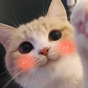 微美剧Sam头像