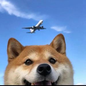 卝刌头像