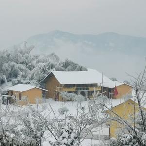 仙峰春秋子头像