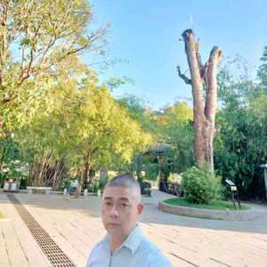 囍阳阳头像
