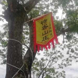 台海风云录头像