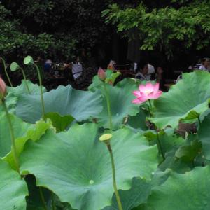 Excel表哥之家 头像