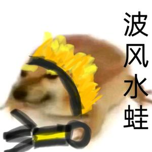 俎参头像