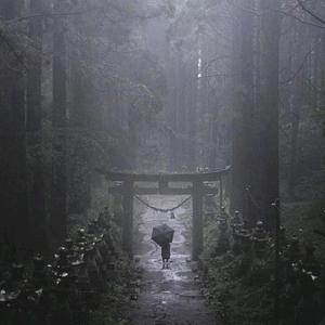 小白投资手册头像