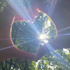 宁醉年华，莫负桃花头像