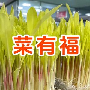 山东菜之初农业科技有限公司厦门分公司头像