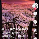 自强不息爱钓鱼头像
