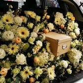 程芯花艺馆头像