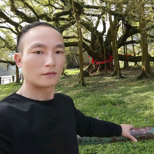 赵小猪头像