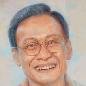 天天空军头像