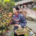 川乡芊妹儿头像