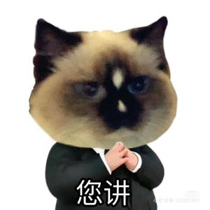 小猫土豆头像