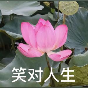 头条老嗨头像
