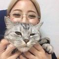 囍Cat头像