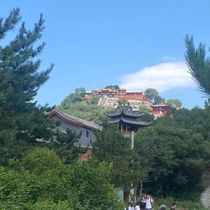志强3F3o头像