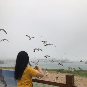 花叨头像