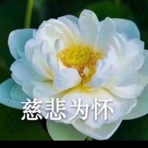 厚土4g6Q头像