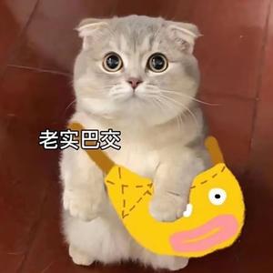 新手小作者唯一头像