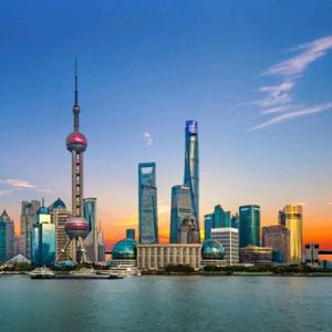 沪上门球乐头像