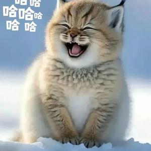 健身卡拉米头像