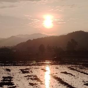 一往无前山丘7ykLLK头像
