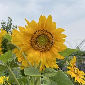 昱贤讲故事头像
