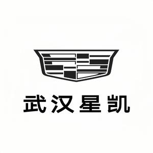 凯迪拉克-武汉星凯（汉阳店）头像