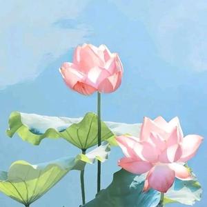 努力前行头像