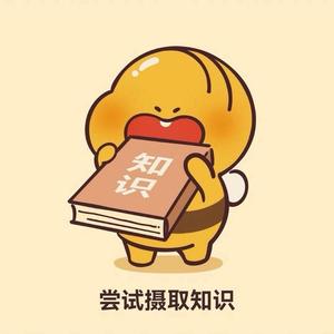 飞凰有料头像