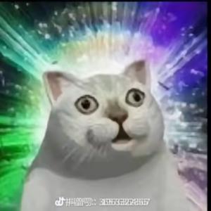 航航头像
