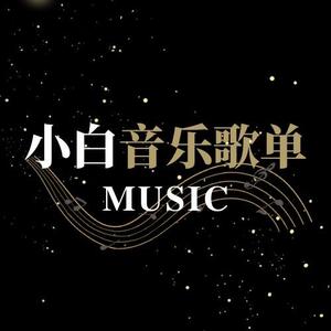 小白音乐歌单头像