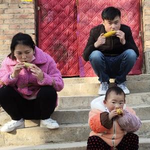 双琪家族头像