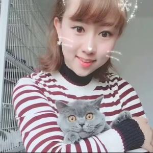萌萌猫咪专科（宠物用品）头像