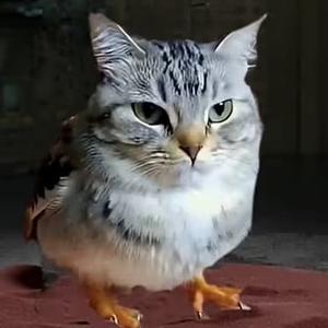 工藤新亿头像