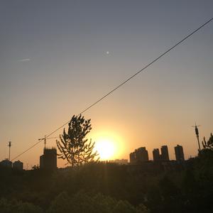 粤语原声视频头像