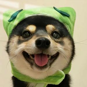 臭臭头像