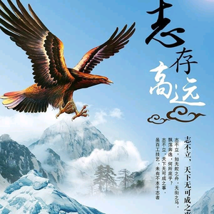泉城时哥（志存高远）头像