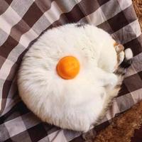 才高八斗野猪佩奇终结者头像