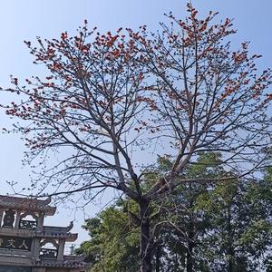 空白聊事头像