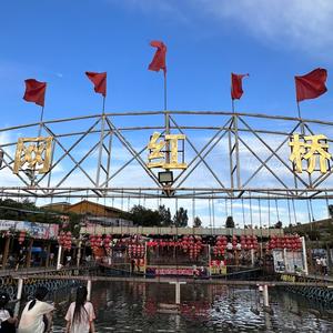 疯狂网红桥头像
