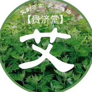 贵济堂艾草头像