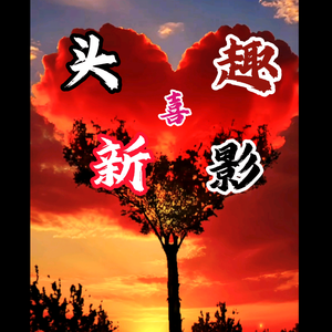 奇迹行者头像